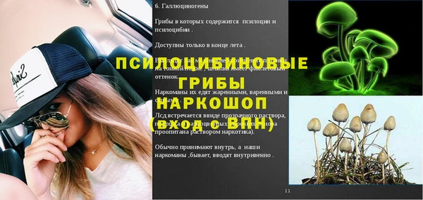 индика Алзамай