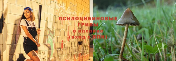 синтетический гашиш Алексин